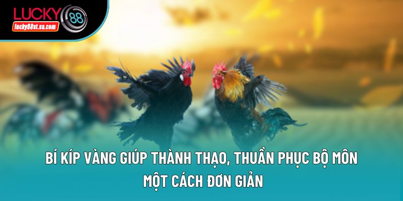 Bí kíp vàng giúp thành thạo, thuần phục bộ môn một cách đơn giản