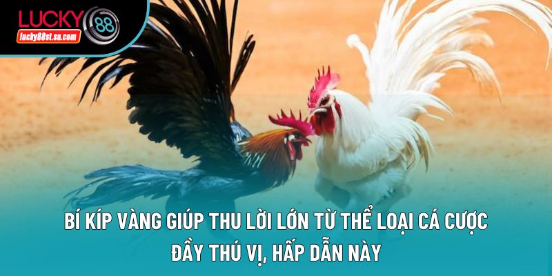 Bí kíp vàng giúp thu lời lớn từ thể loại cá cược đầy thú vị, hấp dẫn này Bí kíp vàng giúp thu lời lớn từ thể loại cá cược đầy thú vị, hấp dẫn này