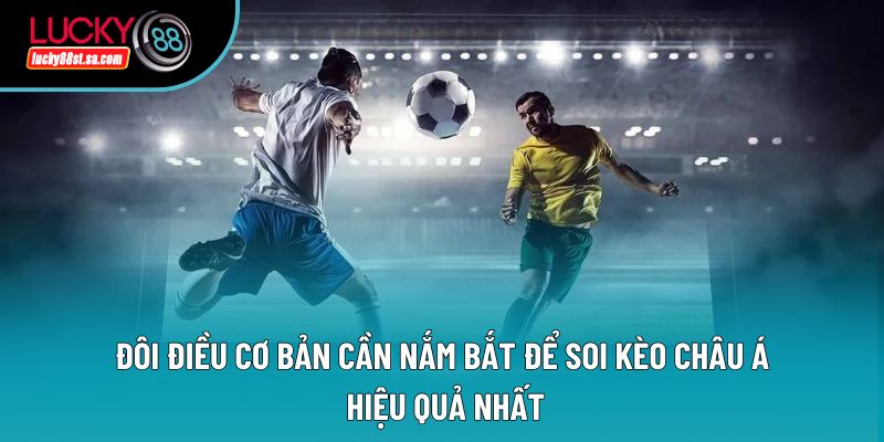 Đôi điều cơ bản cần nắm bắt để soi kèo châu Á hiệu quả nhất Đôi điều cơ bản cần nắm bắt để soi kèo châu Á hiệu quả nhất