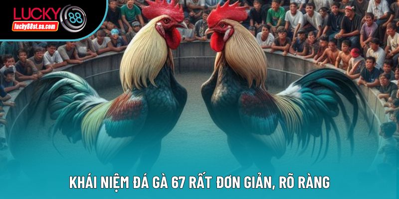 Khái niệm đá gà 67 rất đơn giản, rõ ràng