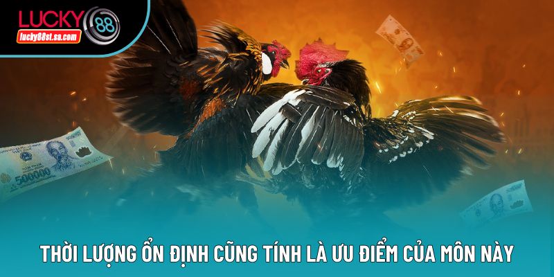 Thời lượng ổn định cũng tính là ưu điểm của môn này Thời lượng ổn định cũng tính là ưu điểm của môn này